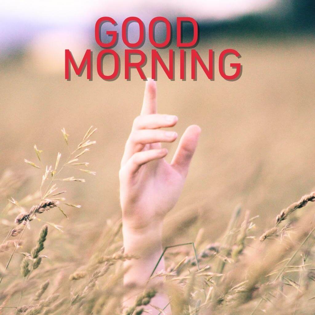 New good morning Pics Wallpaper New Download for Facebook