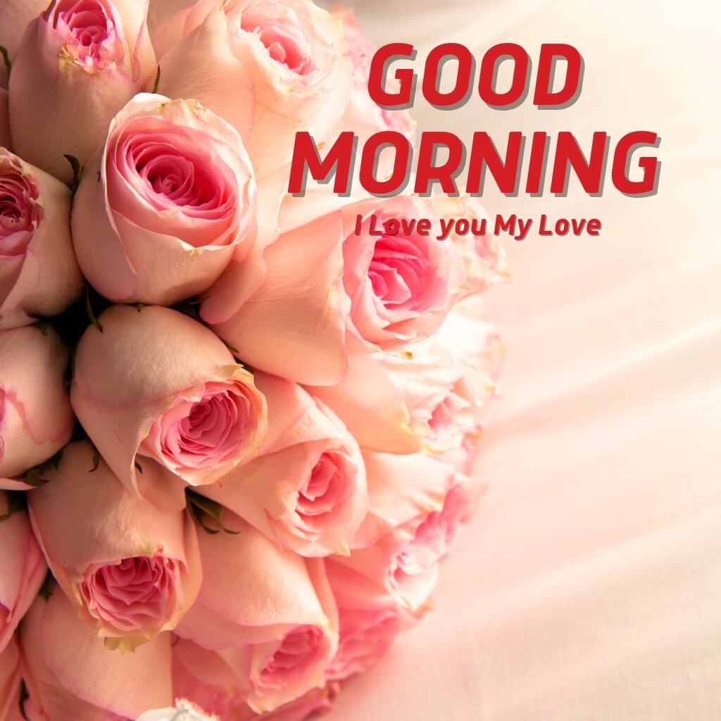 Romantic Good Morning Wallpaper Pics New Download 2