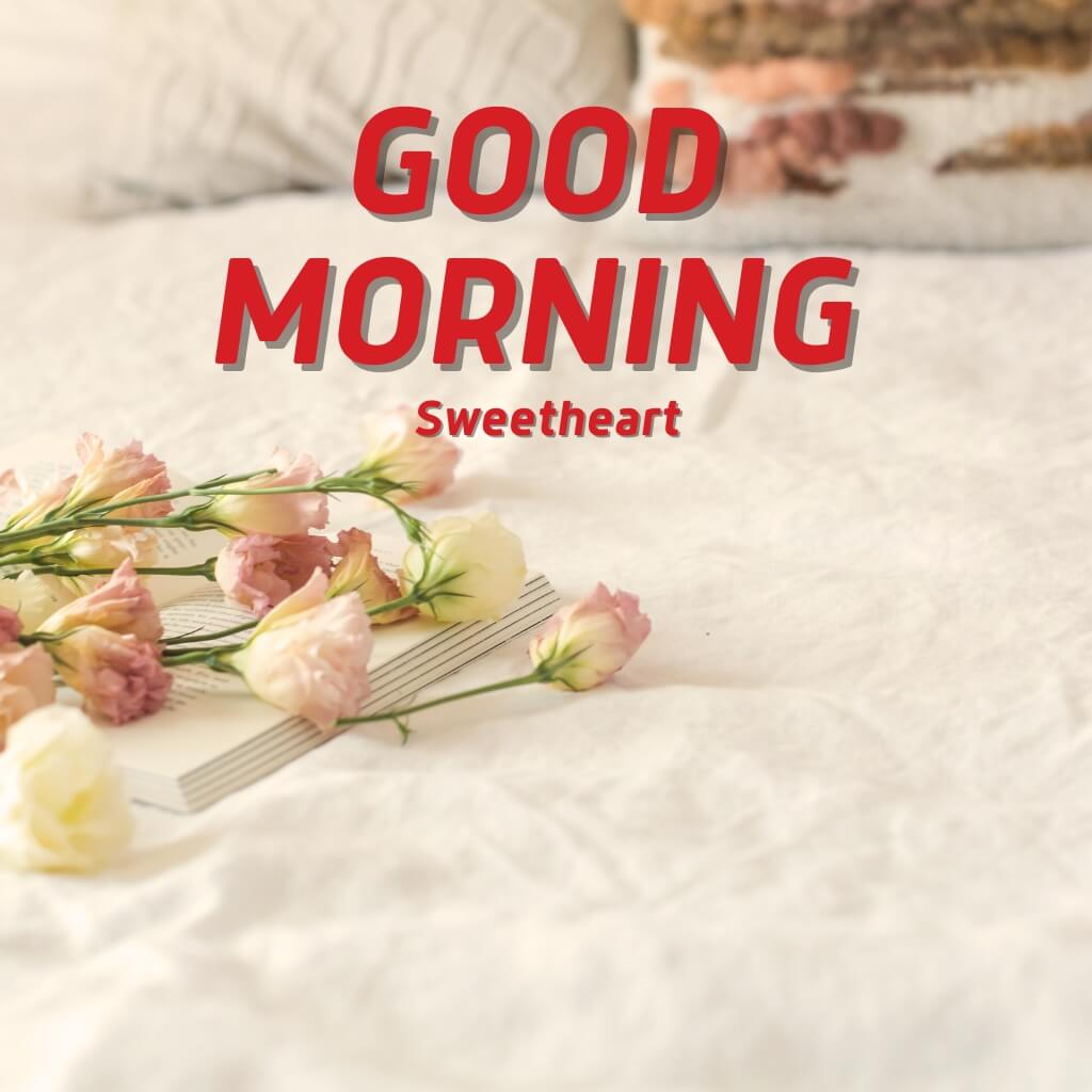 Romantic Good Morning Wallpaper Pics New Download 2023