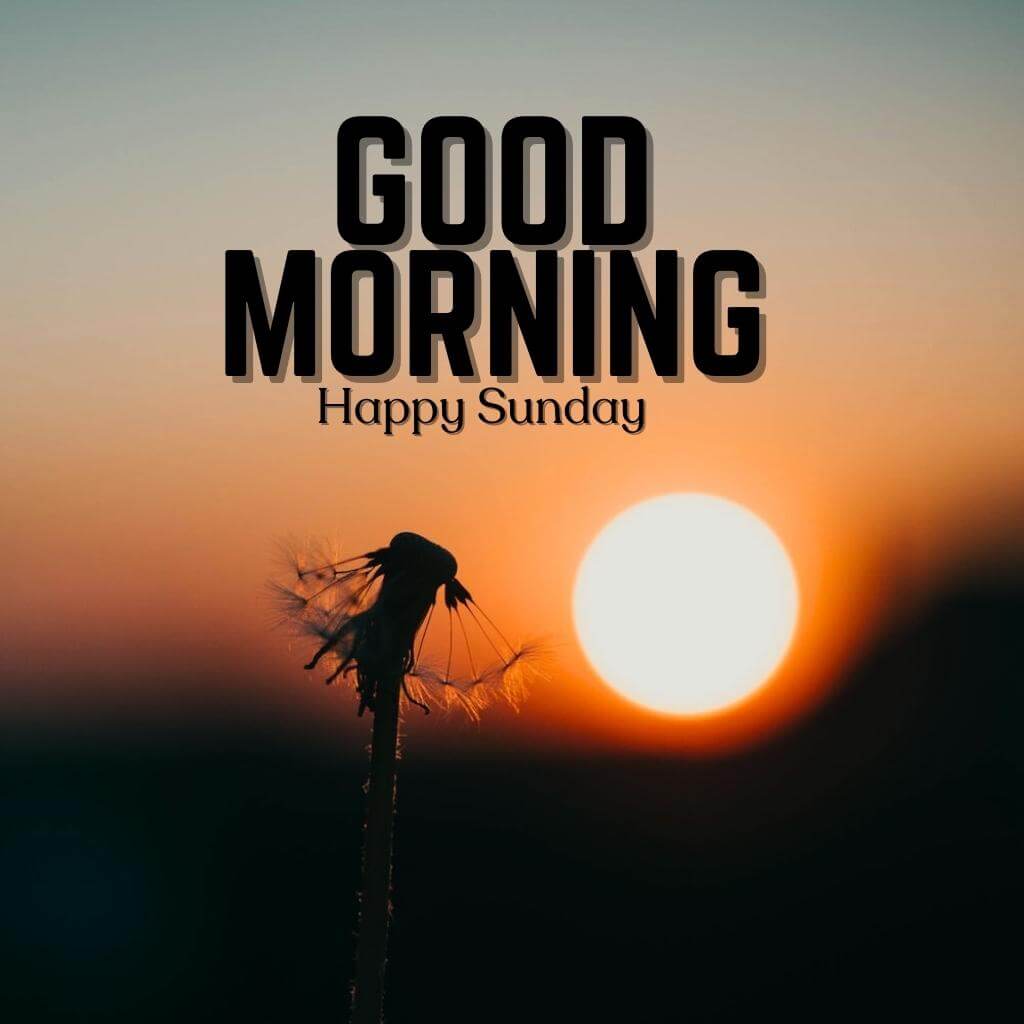 Sunrise Sunday Good Morning Pics Download