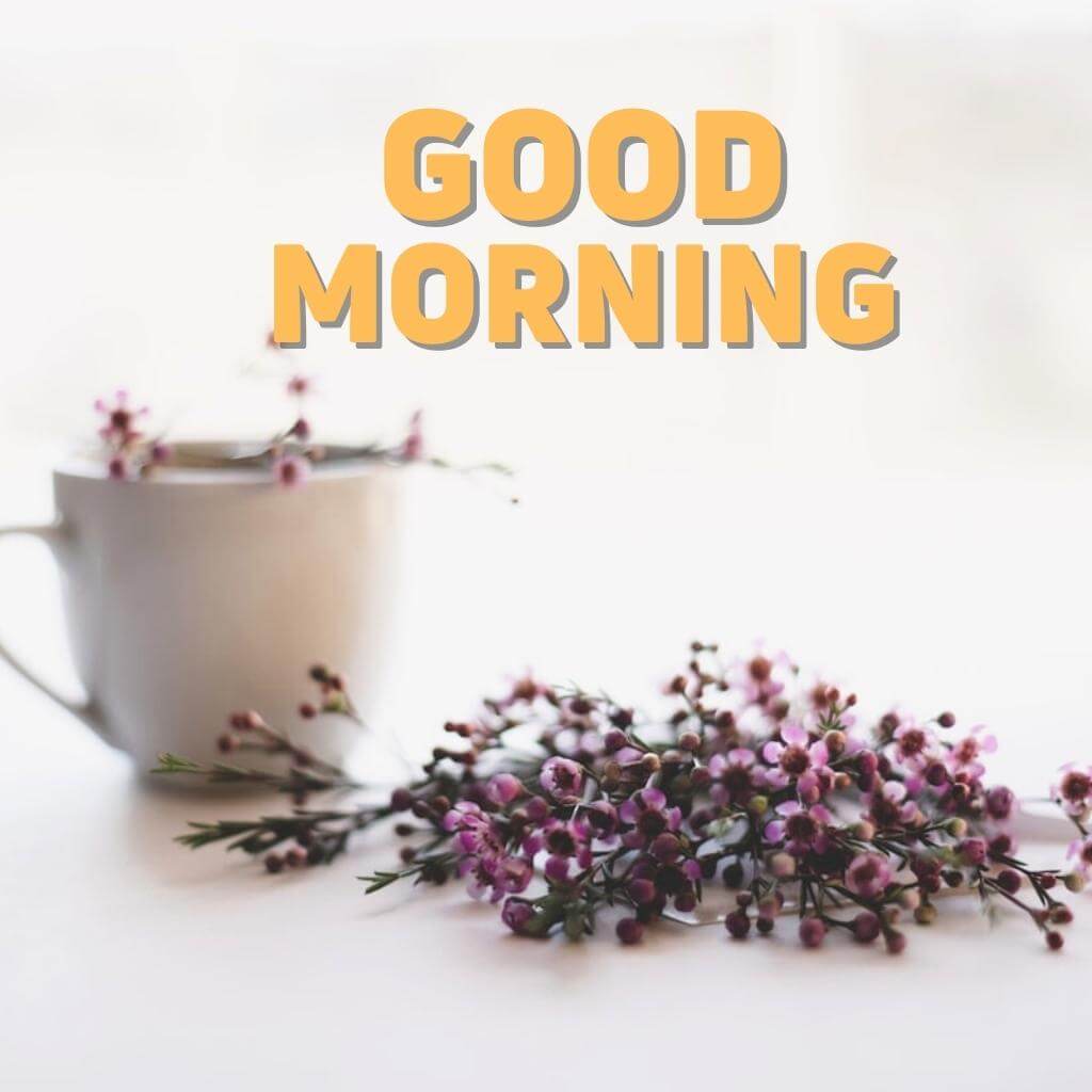 Top 10 good morning coffee Pics Wallpaper Pics New Download