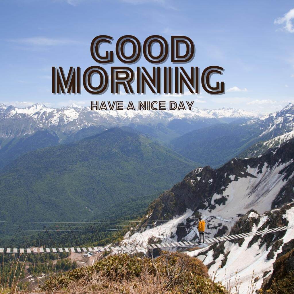 Top Quality special good morning Images Download