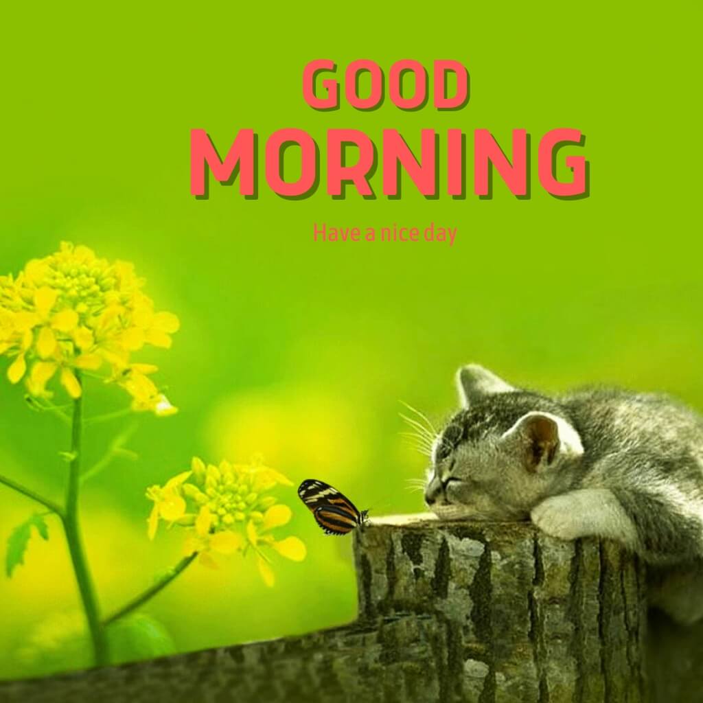 cute good morning Wallpaper Pics With Nature