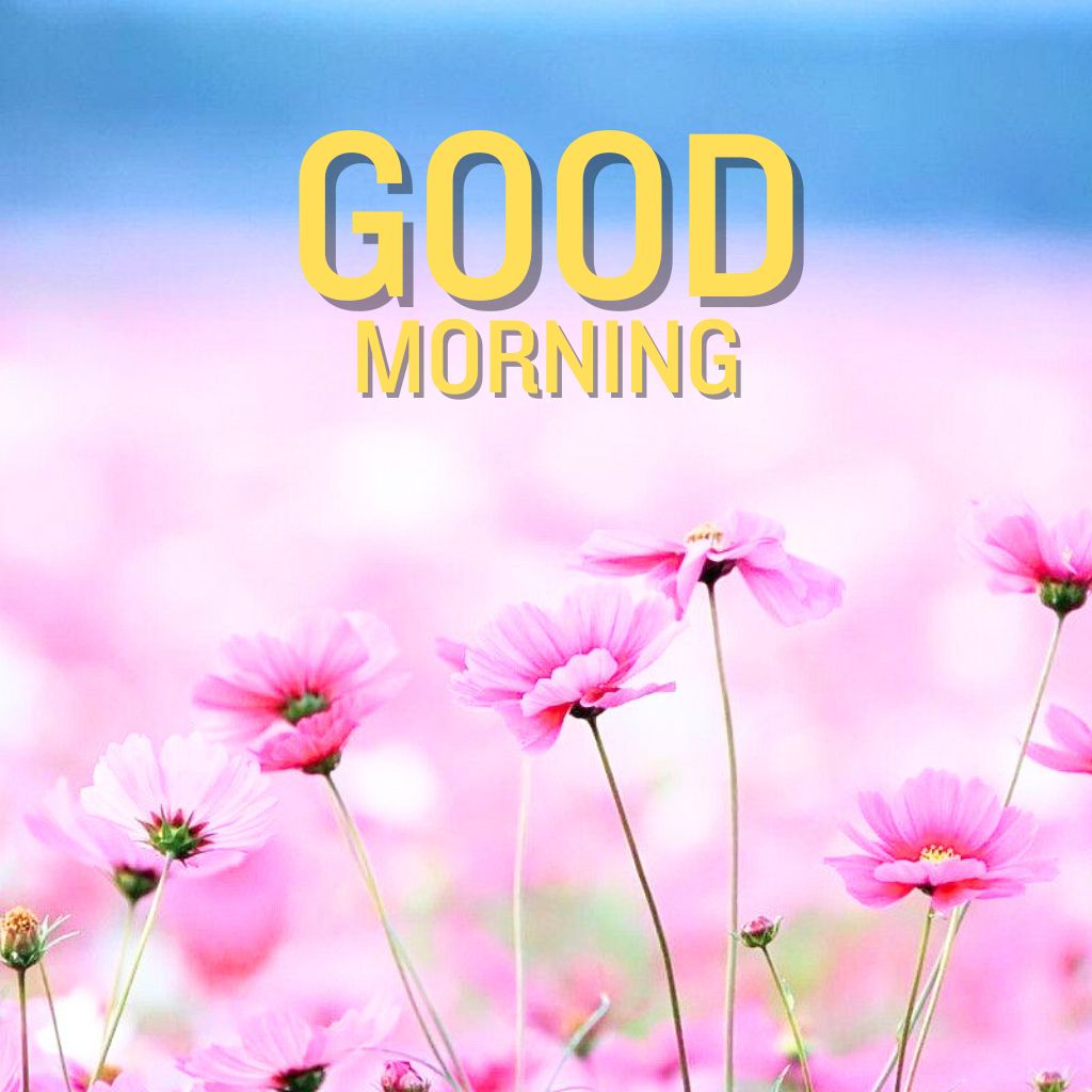cute good morning photo New Download