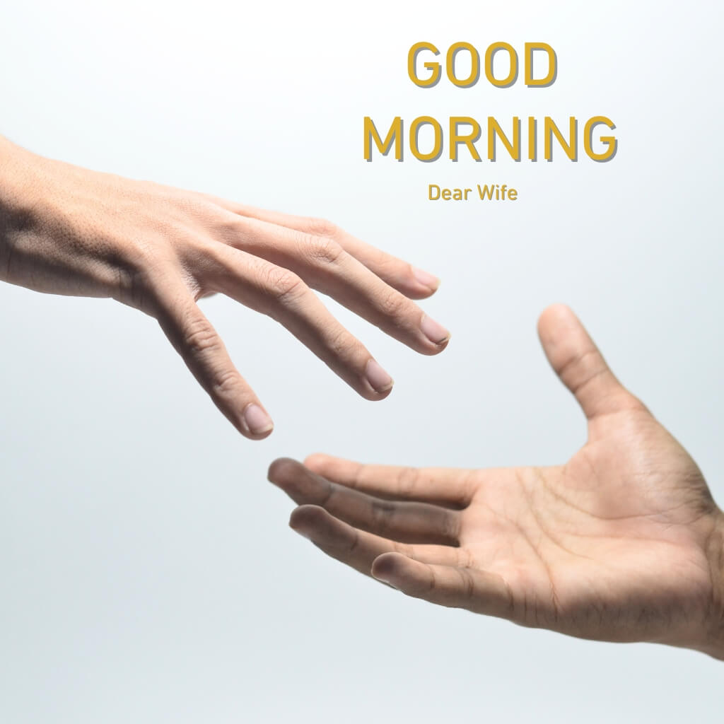 free New Good Morning Images Wallpaper for Whatsapp