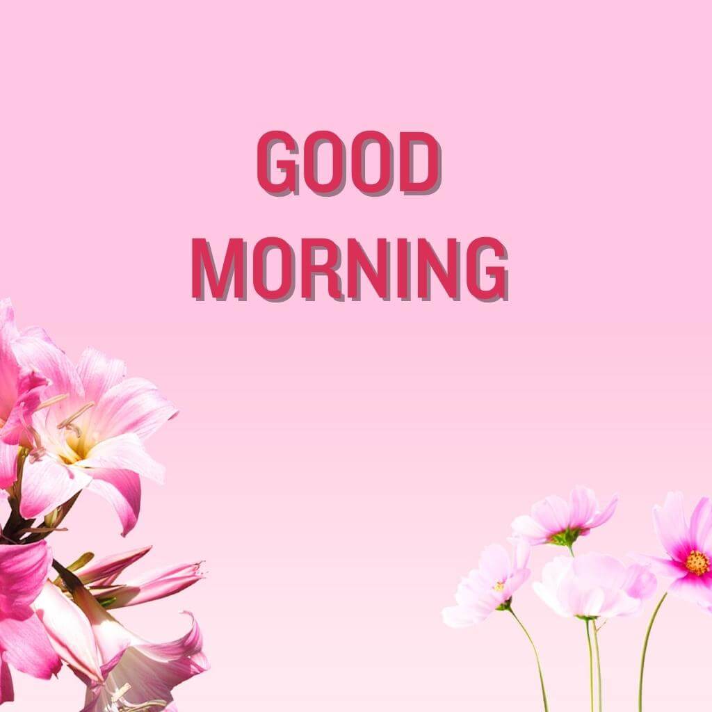 good morning Flower Wallpaper Free Download for Facebook