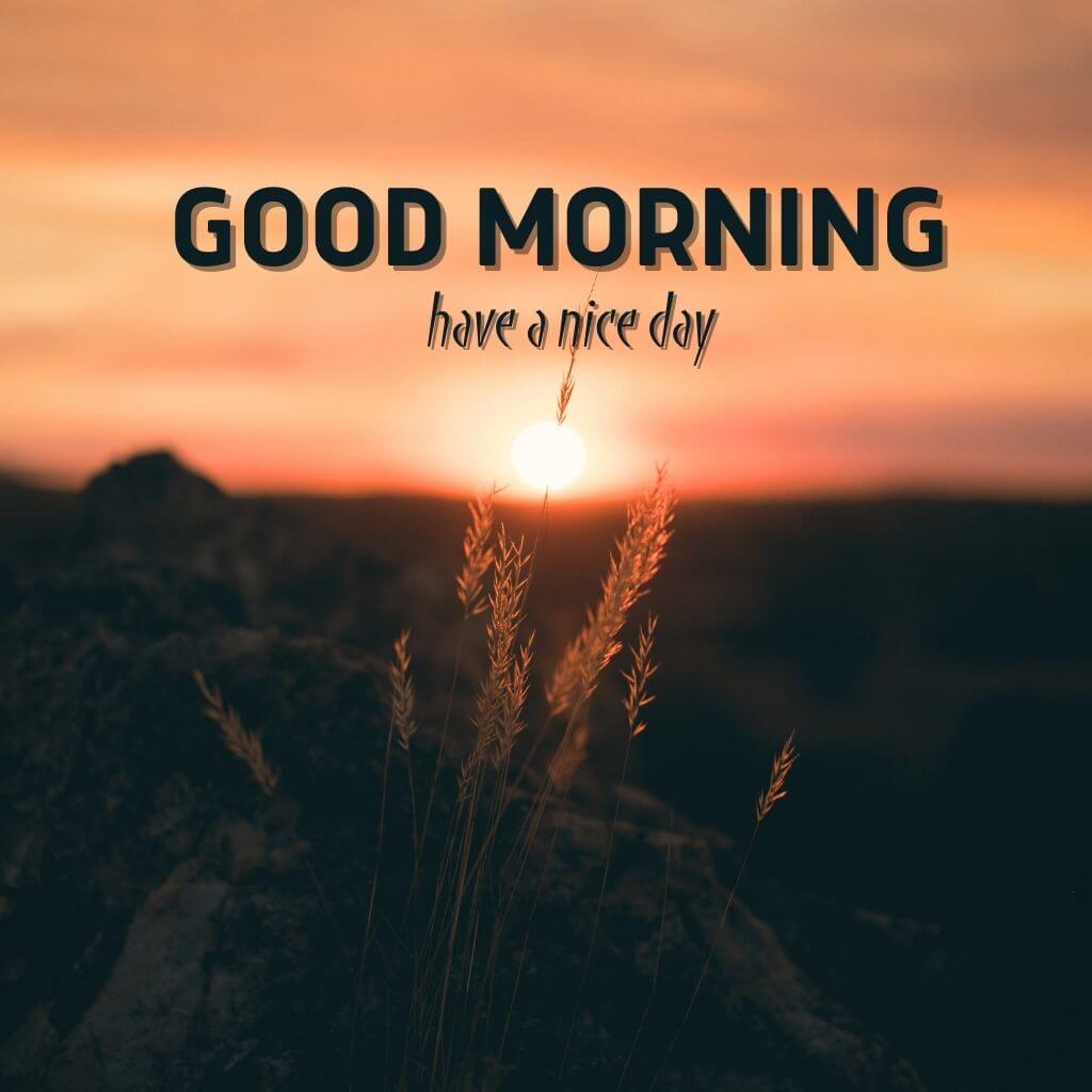 good morning Images Wallpaper Pictures for Friend