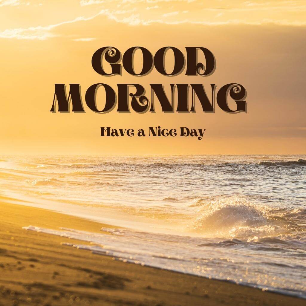 good morning Pics Images Photo Free New Download 