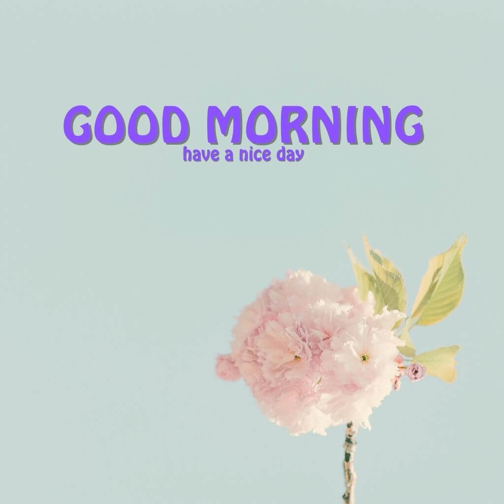 good morning Wallpaper New Download 2023 2