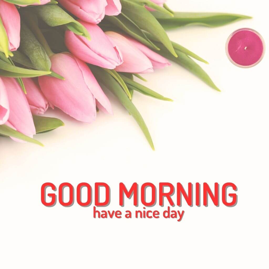 good morning Wallpaper Photo With Flower for Whatsapp