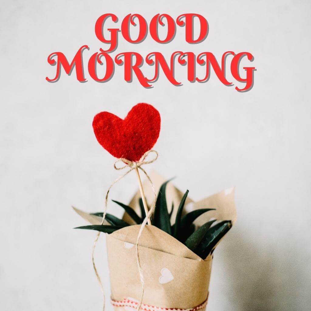 good morning Wallpaper Pics New Download for Whastsapp