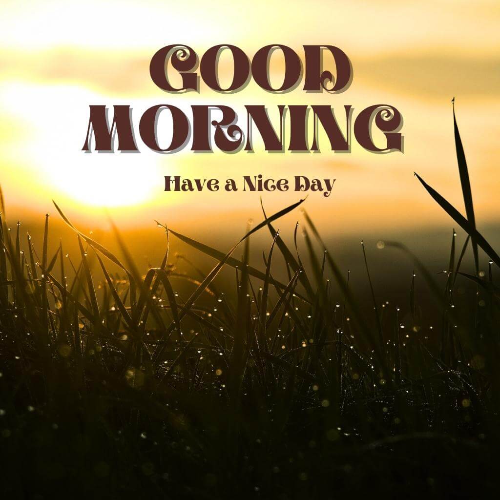 good morning Wallpaper Pics With Sunrise HD Download Free 2023