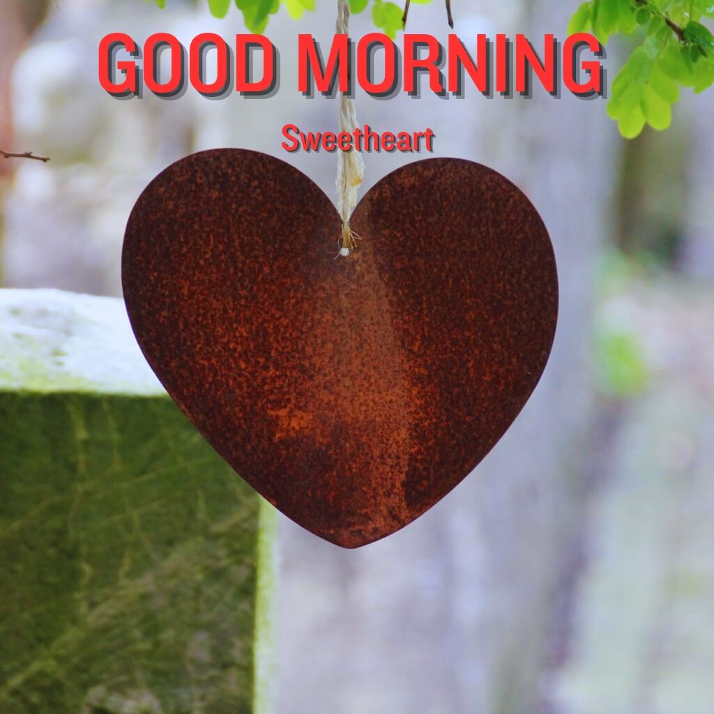 good morning love Pics New Download