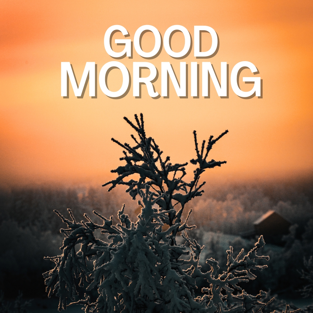 good morning nature Wallpaper New Download 1