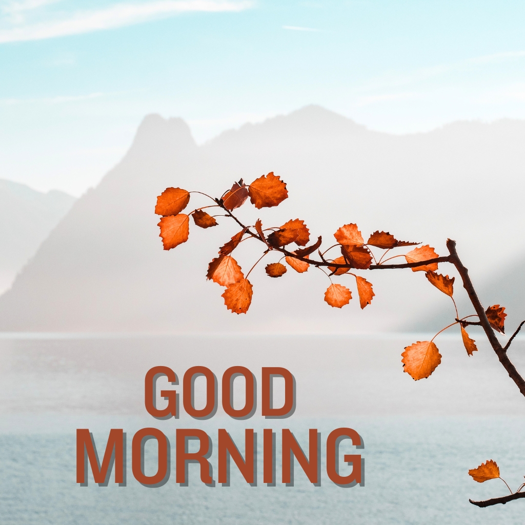 good morning nature Wallpaper New Download for Facebook 1