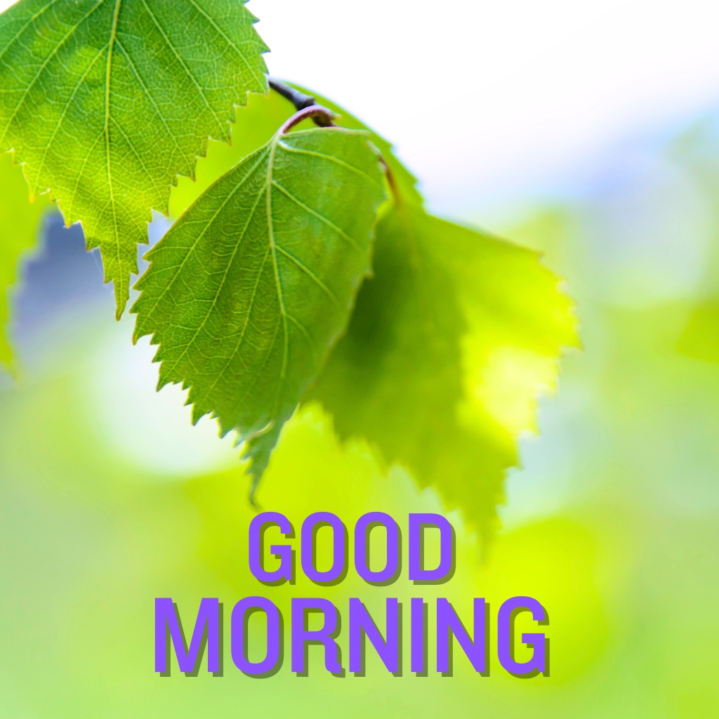 good morning nature Wallpaper for Friend 1