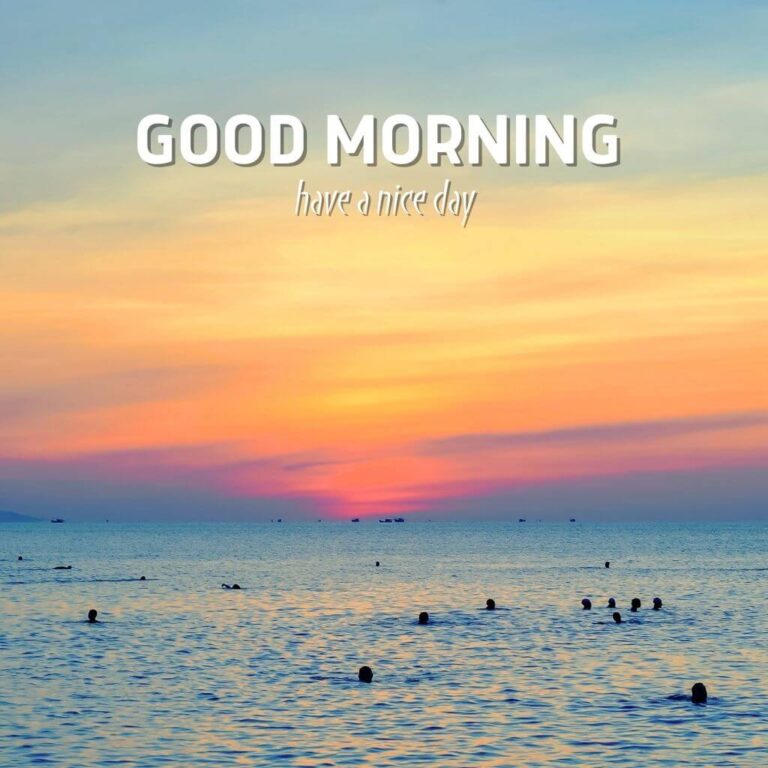 1790+ Best Good Morning Images , Wallpaper 2024, Photo Download