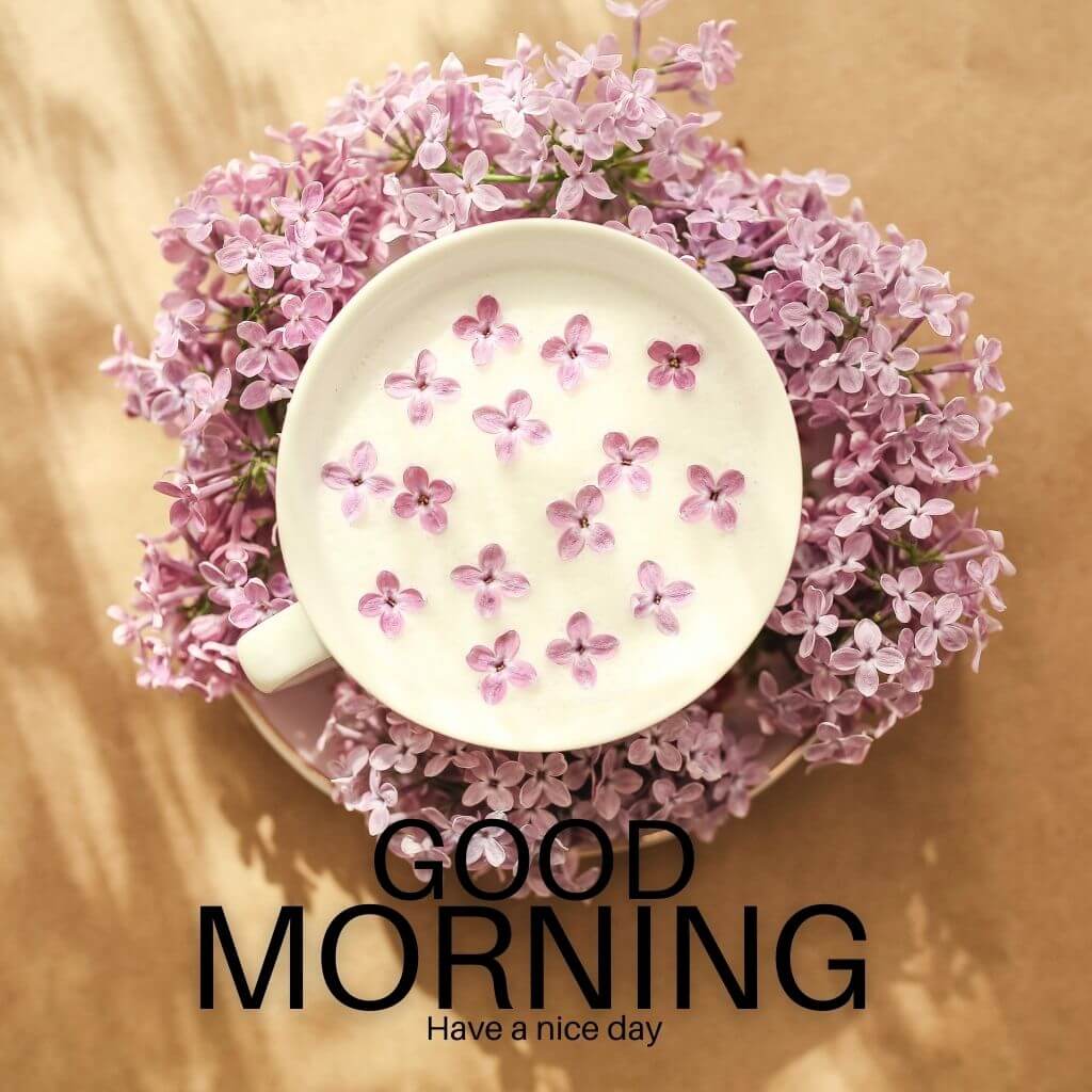 good morning tea Wallpaper Pics Free