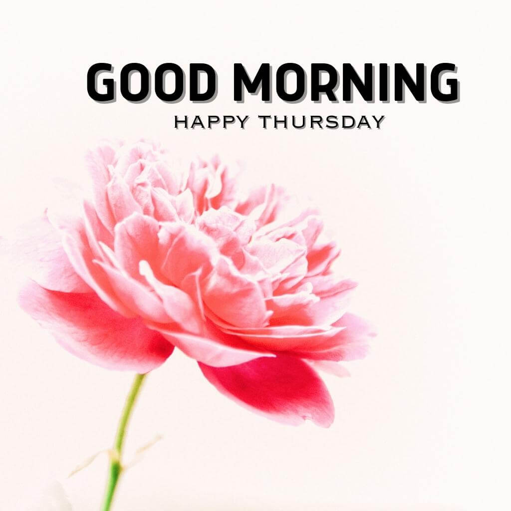 good morning thursday images Pics Download Flower