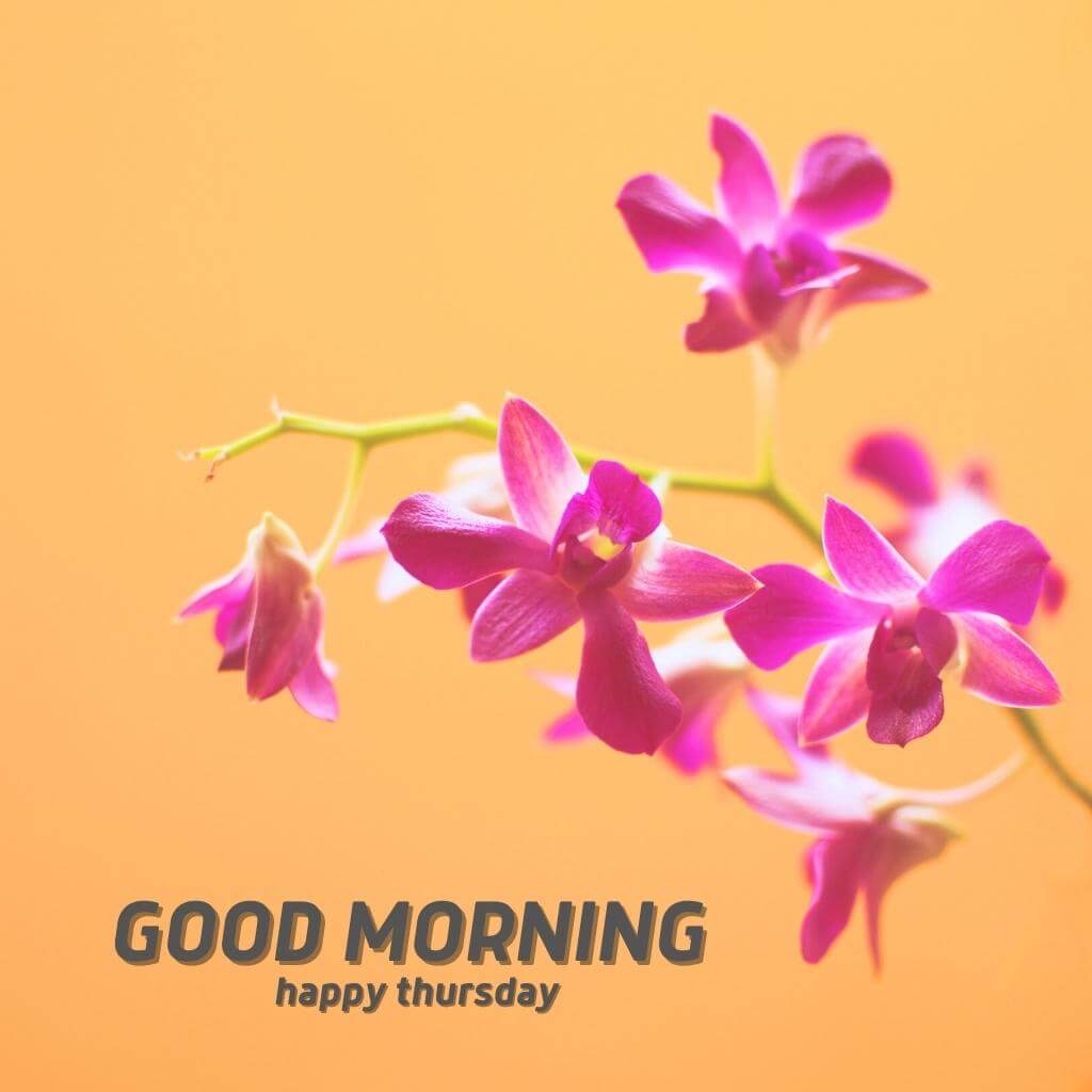 good morning thursday images Pics new Download for friend