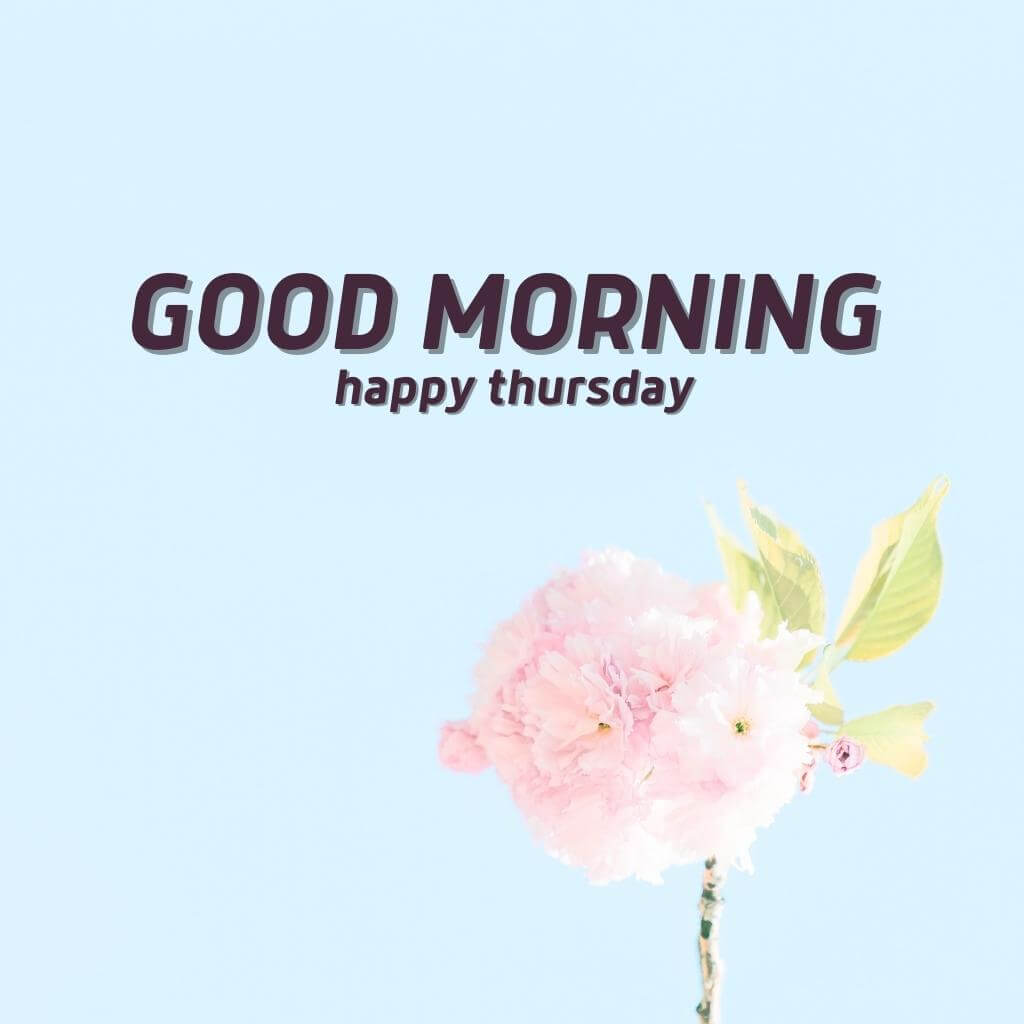 good morning thursday images Wallpaper Free New Download