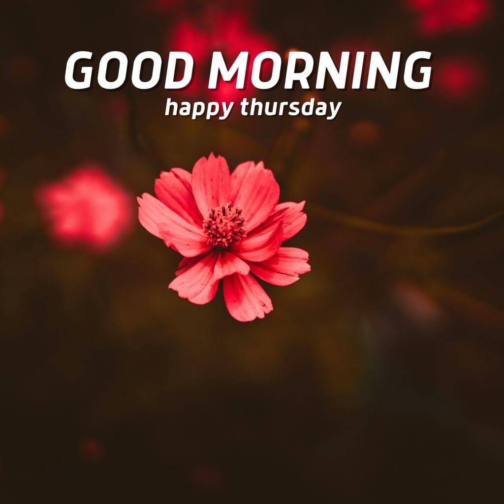 good morning thursday images Wallpaper HD New Download