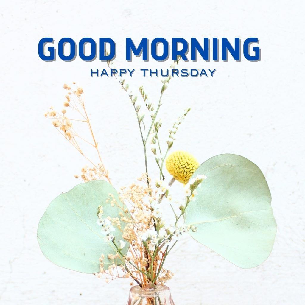 good morning thursday images Wallpaper New Download 2023
