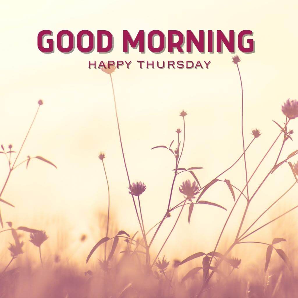 good morning thursday images Wallpaper Pics Download for Friend