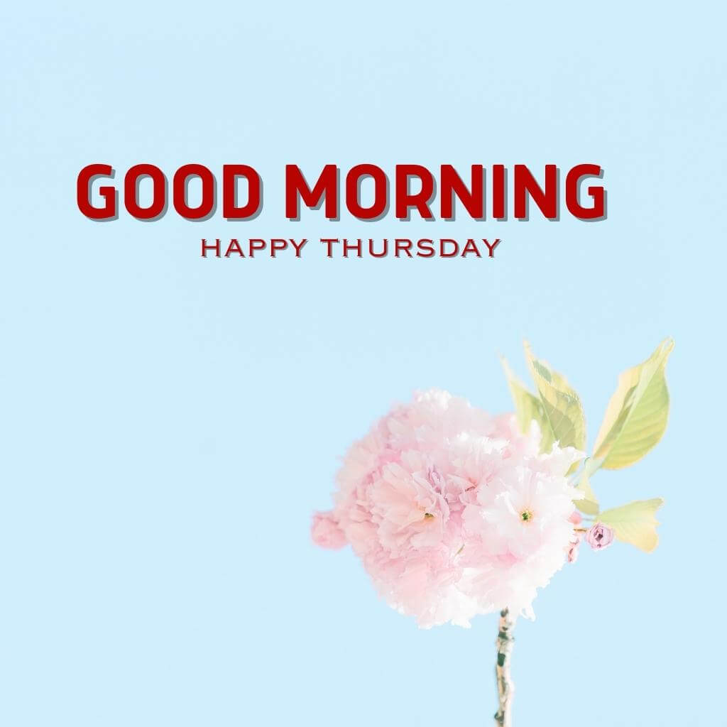 good morning thursday images Wallpaper Pics New Download 2023 for facebook