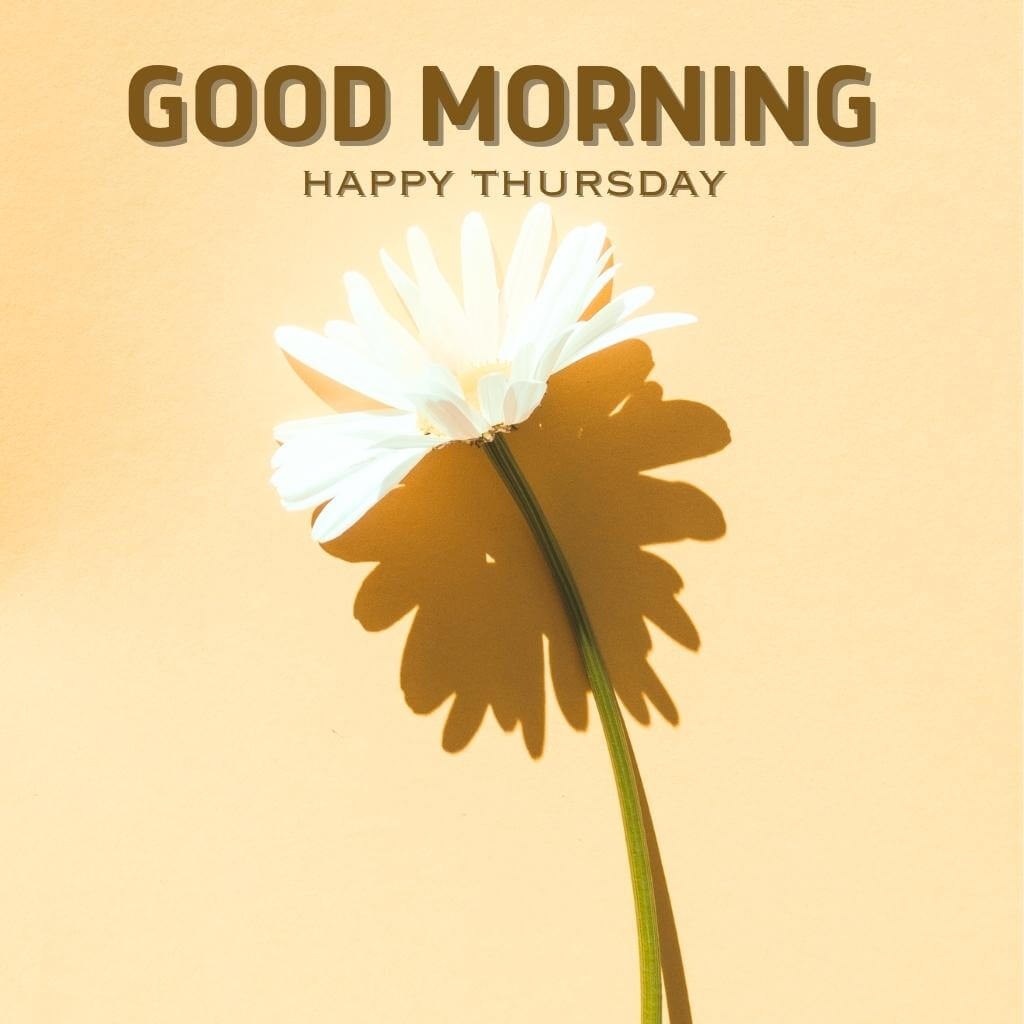 good morning thursday images Wallpaper Pics New Download 20232