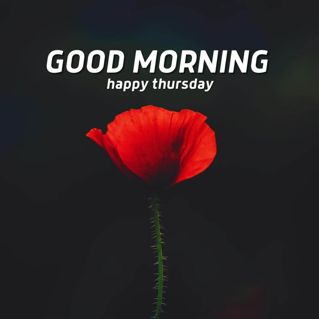 good morning thursday images Wallpaper Pics New Download for Whatsap