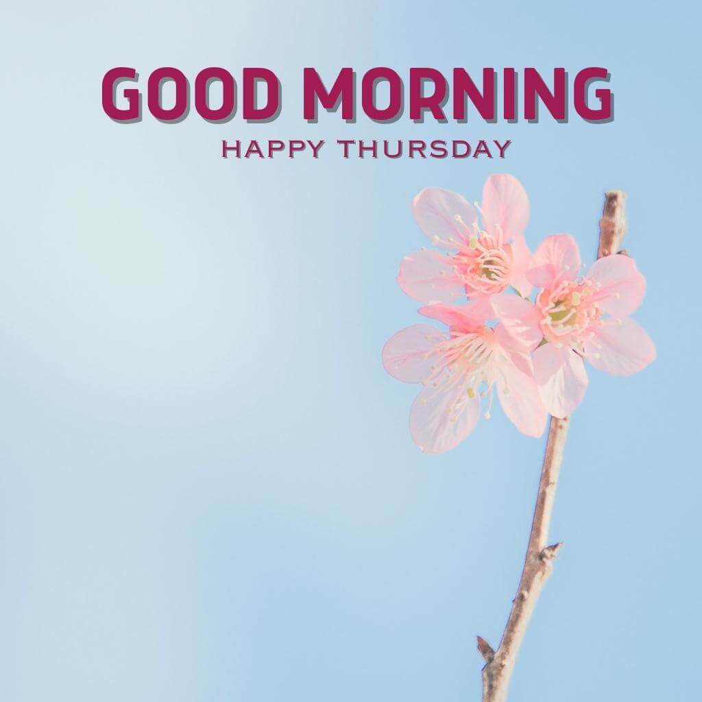good morning thursday images Wallpaper Pics New Download
