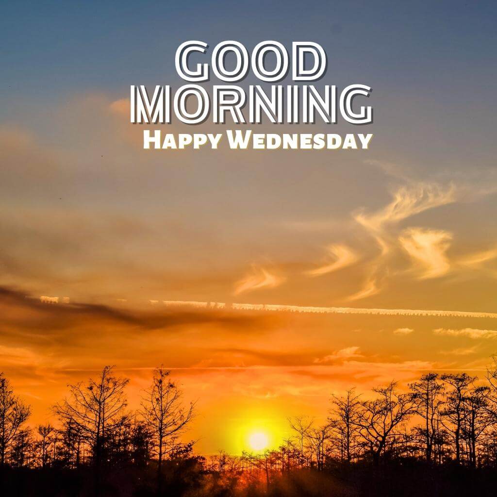 good morning wednesday Wallpaper New Download 2023