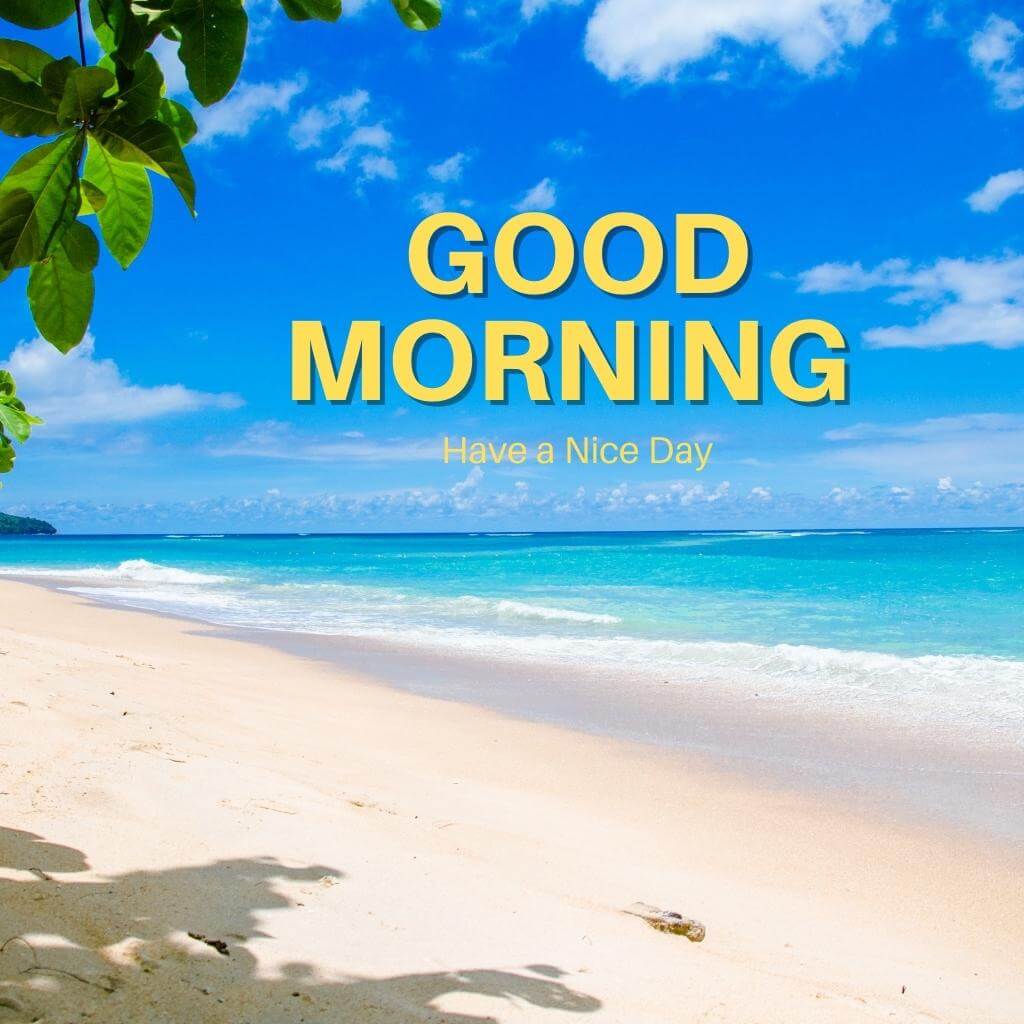 special good morning Photo New Download for Whatsapp