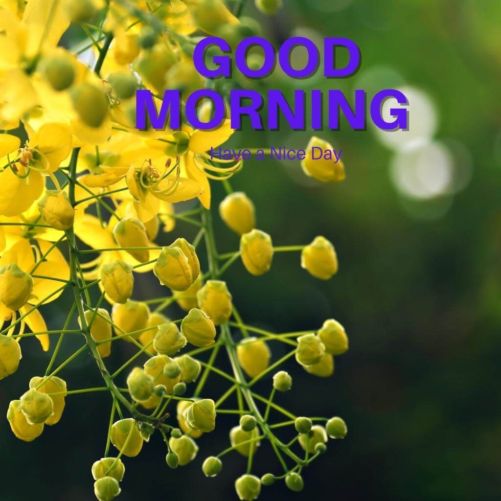 special good morning Pics New Download for Friend