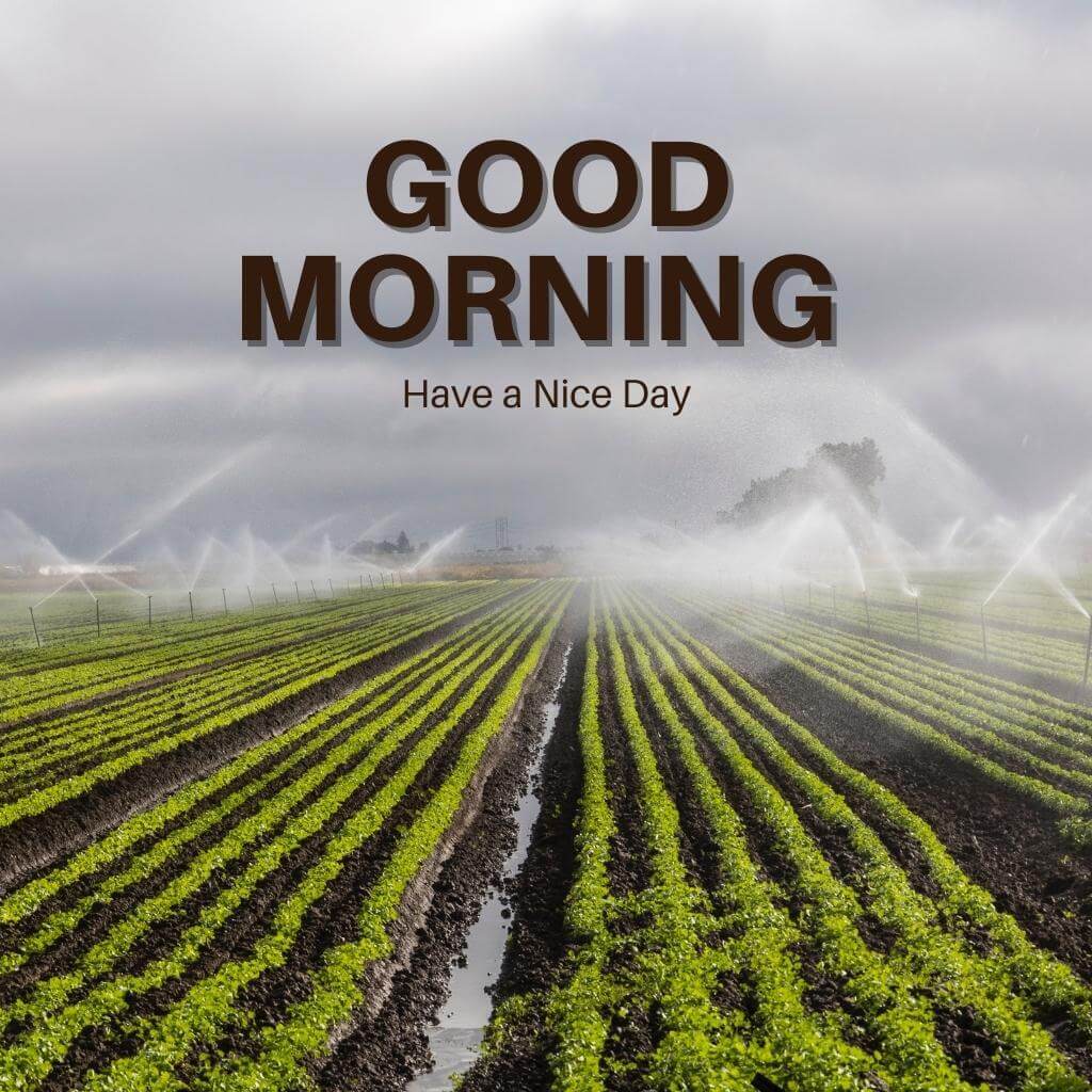 special good morning Wallpaper Pics New Download 2