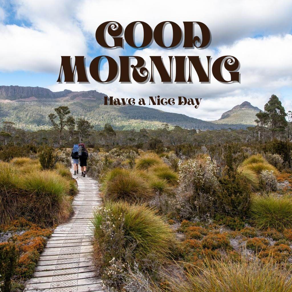special good morning photo New Download 3