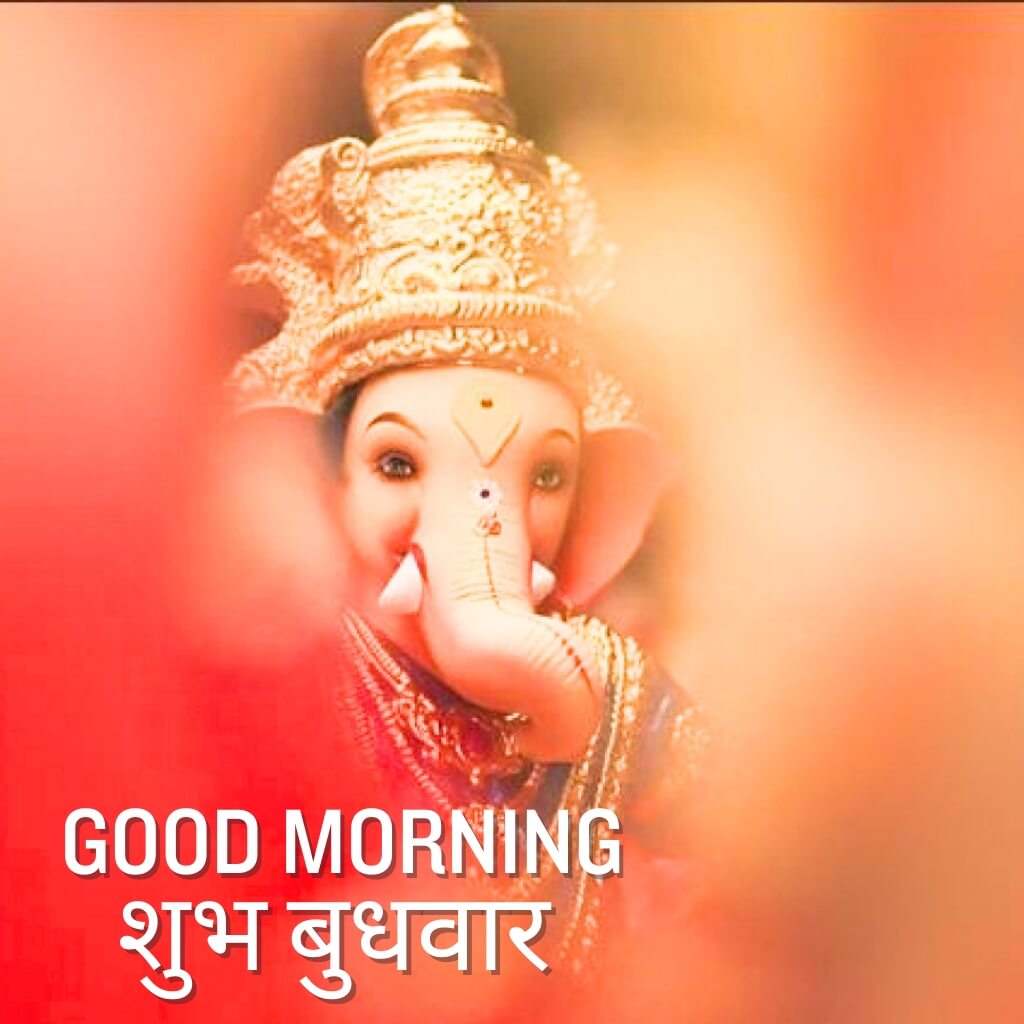 subh budhwar good morning photo Download 2023 2