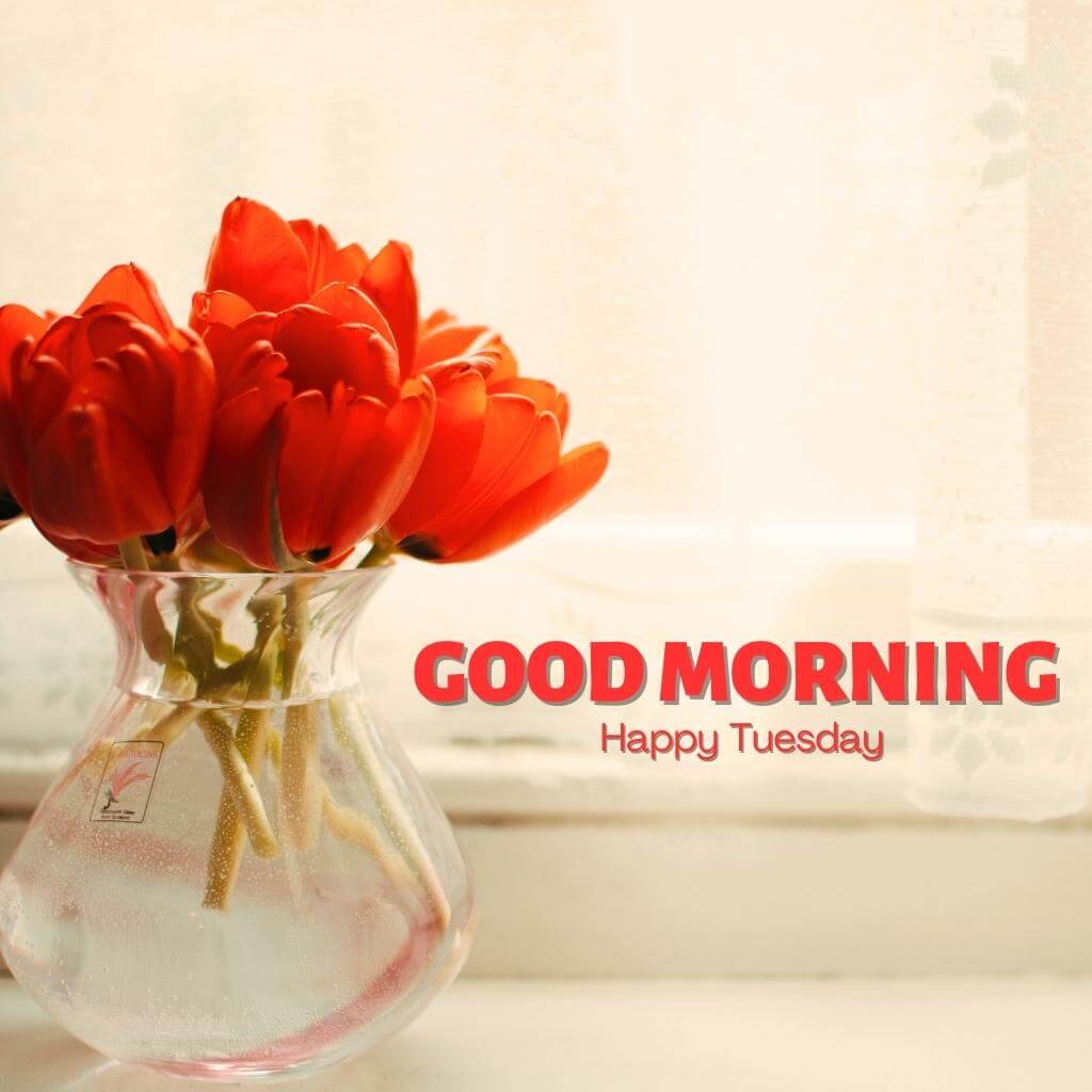 tuesday good morning Wallpaper Pics Download