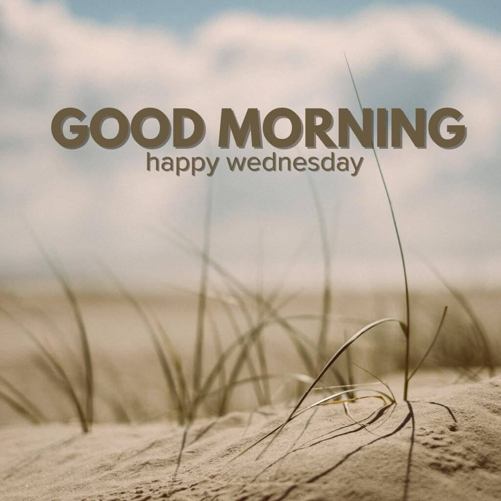 wednesday good morning Photo Download