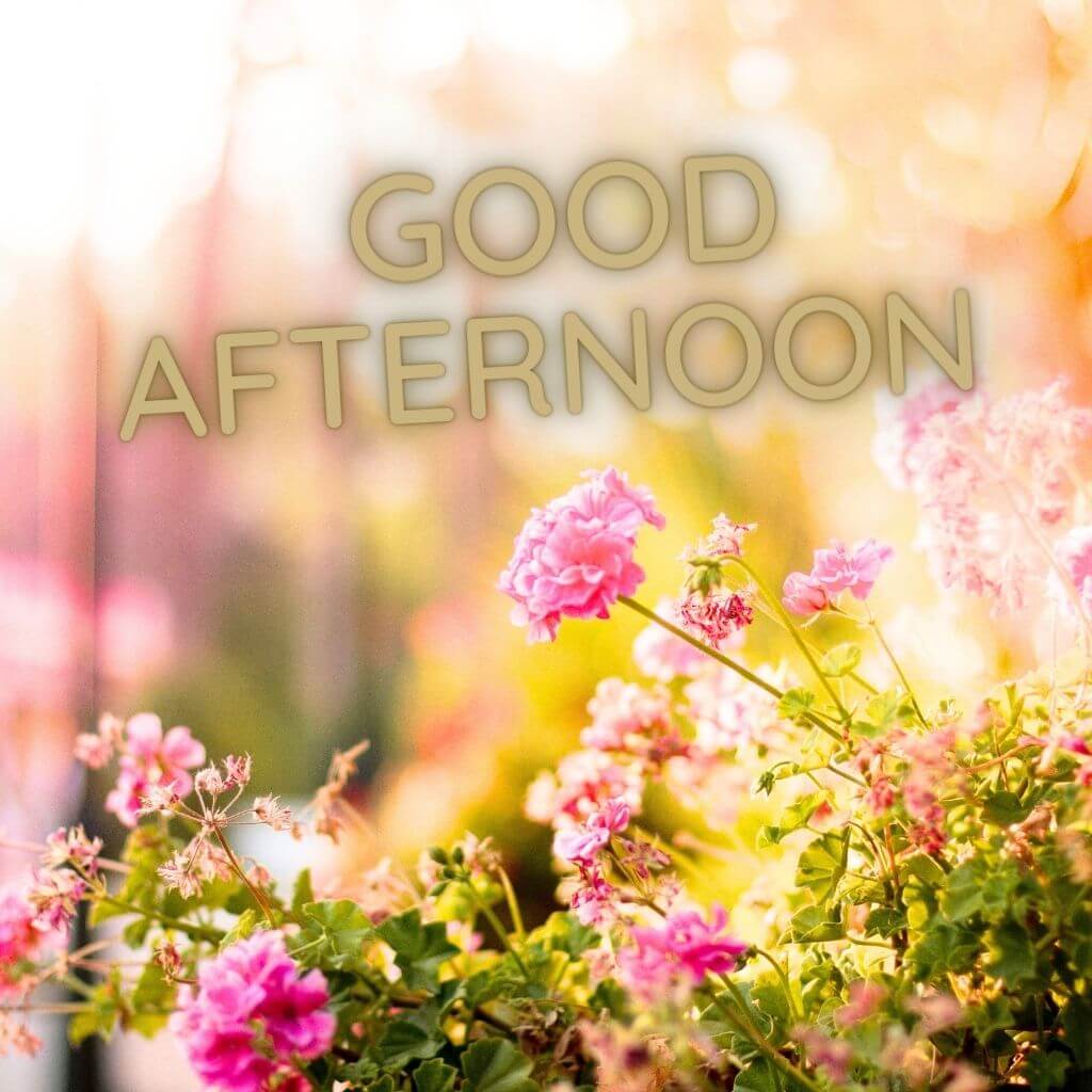 Afternoon Image Pics new Wallpaper free New Download