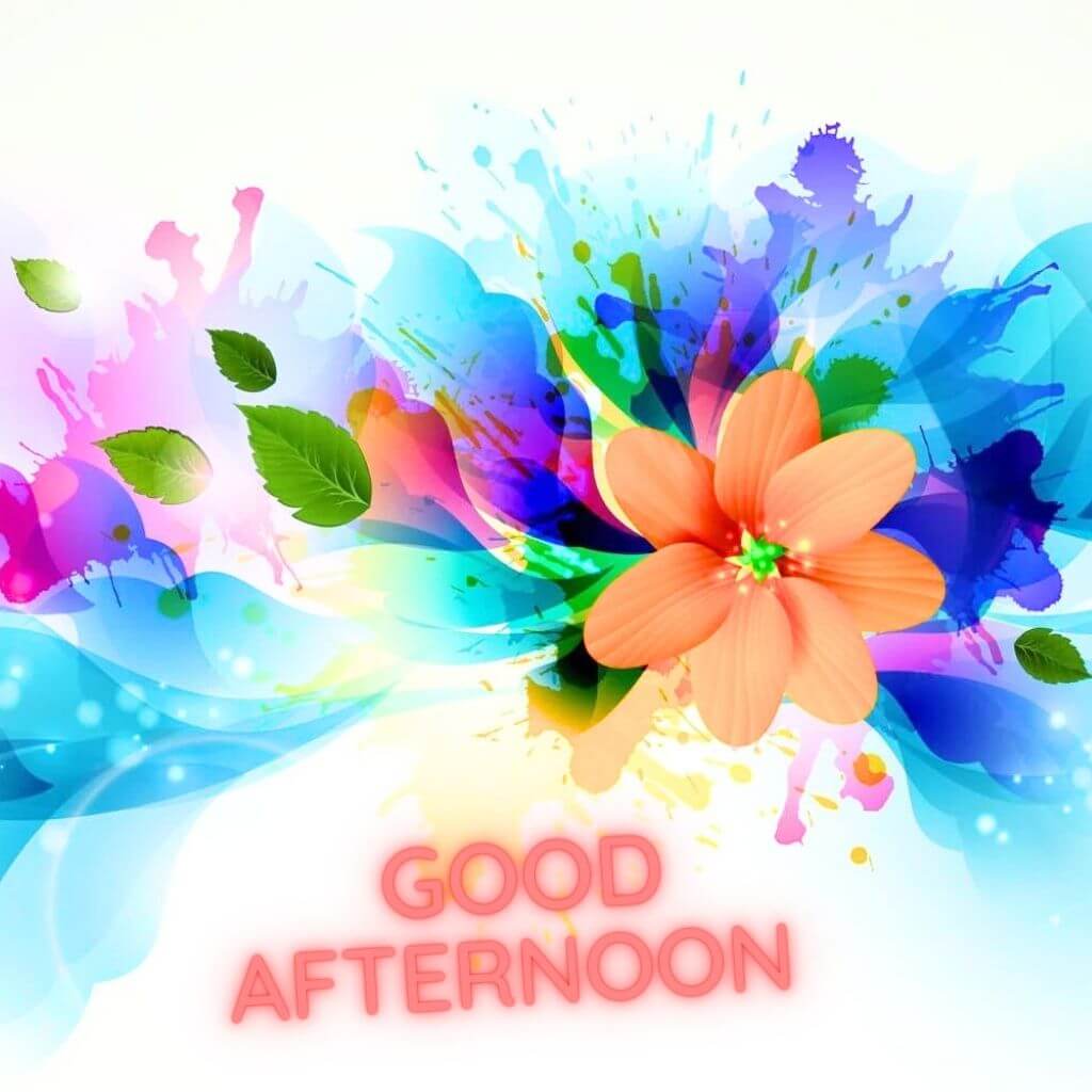 Afternoon Image Wallpaper Images Pics Pictures HD New Download