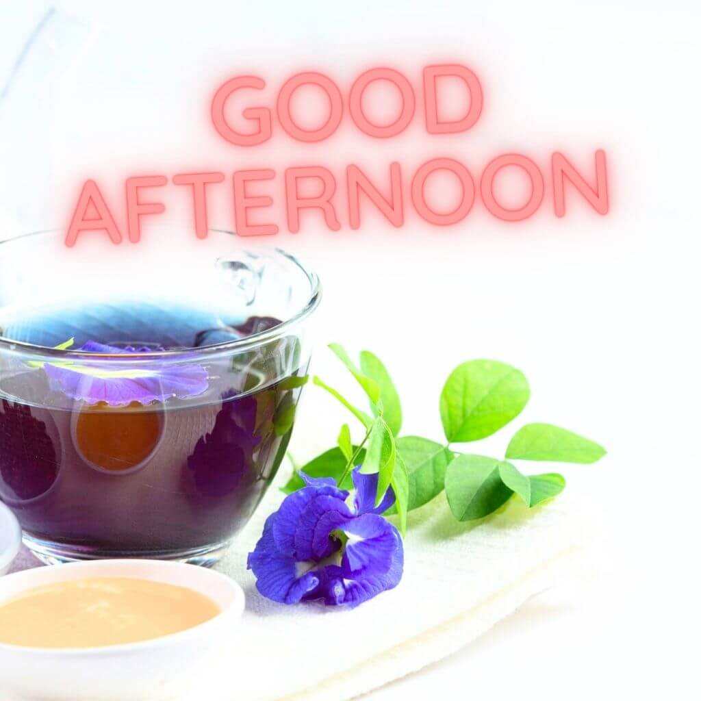 Afternoon Image Wallpaper Pics Download HD for For Friend 