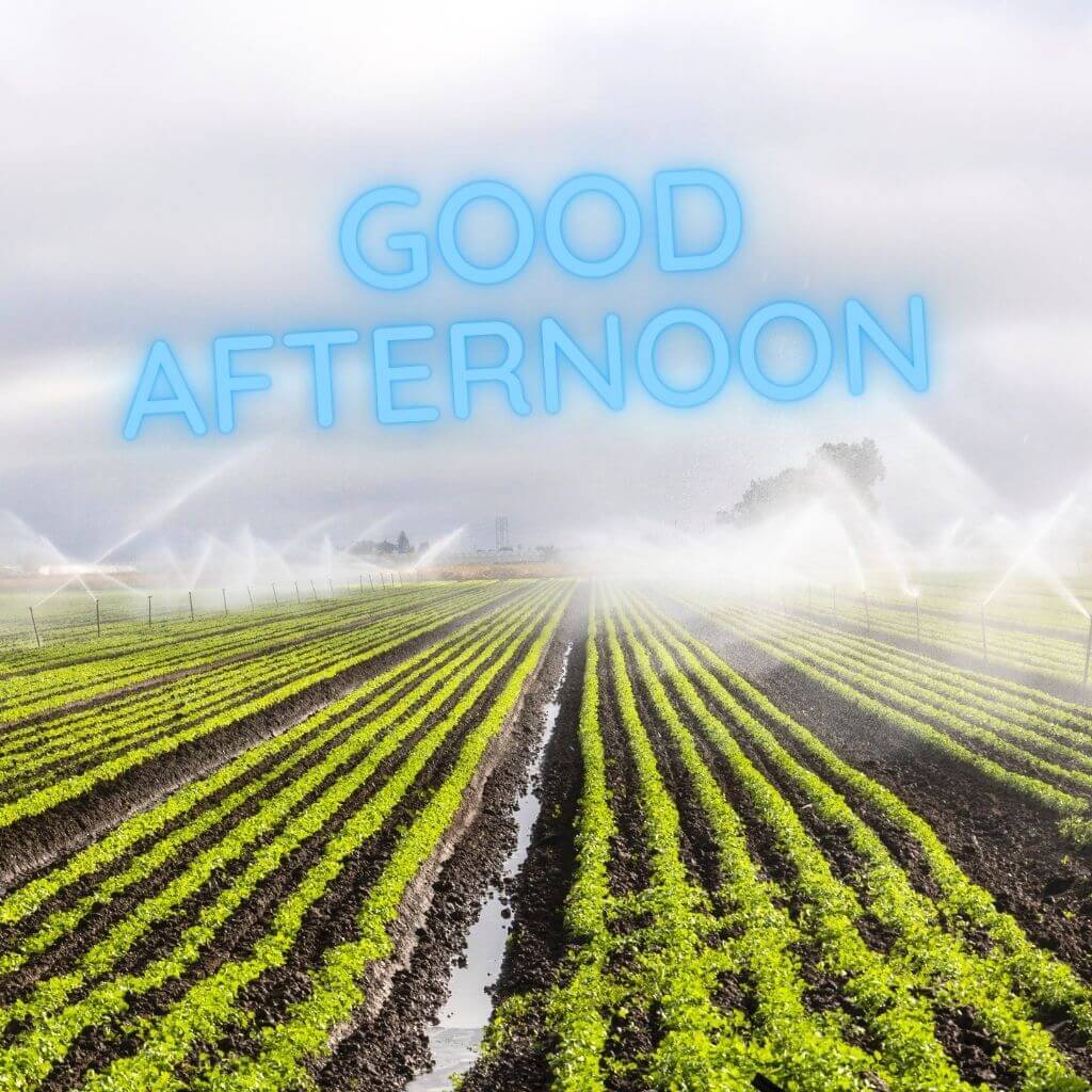 Afternoon Image Wallpaper Images Pictures Pics free Download