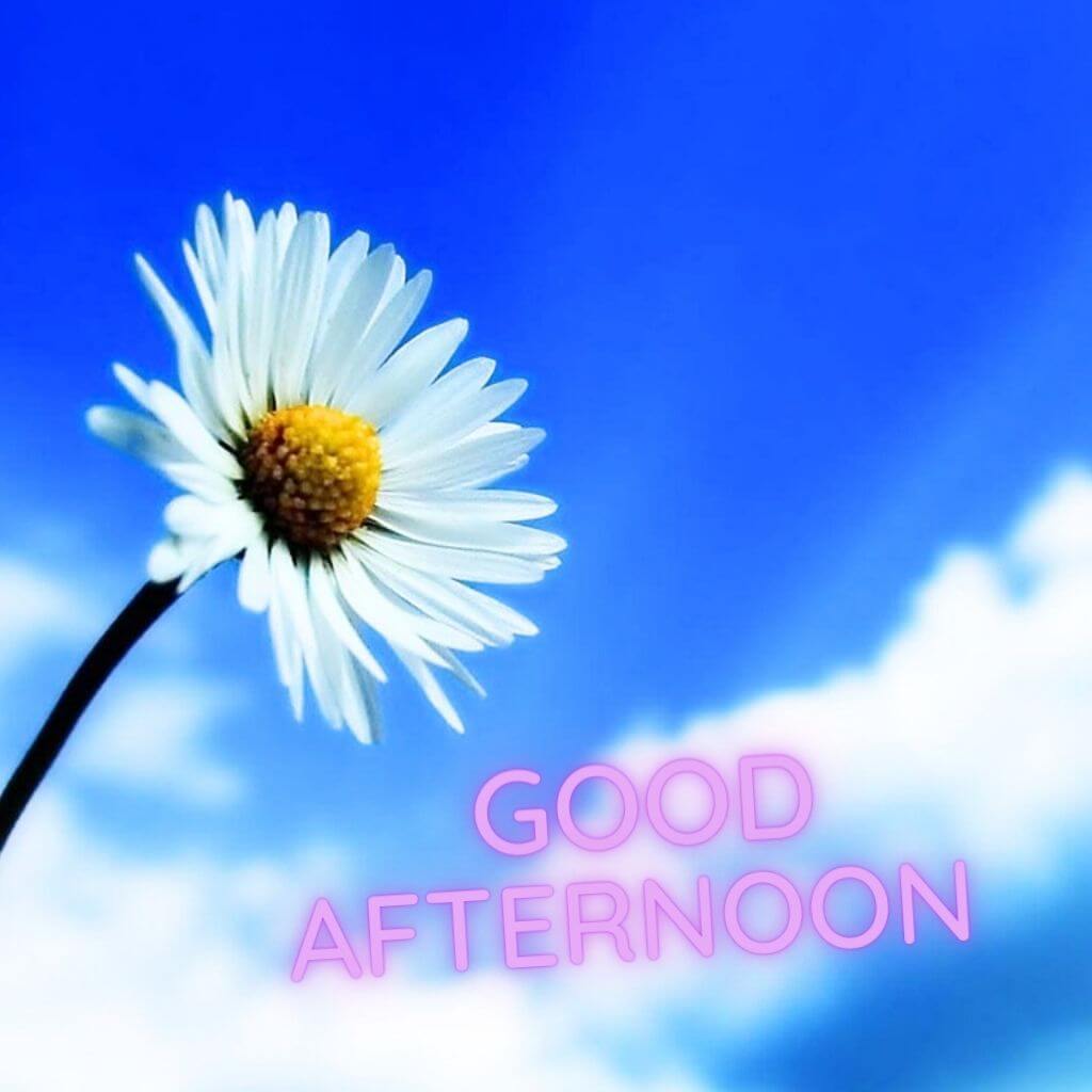 Afternoon Image pics hd Images Photo Pictures 