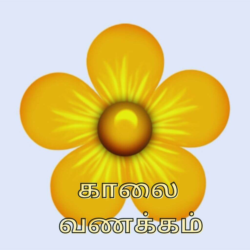 Beautiful Flower Tamil Good Morning Images Pics New Download Free
