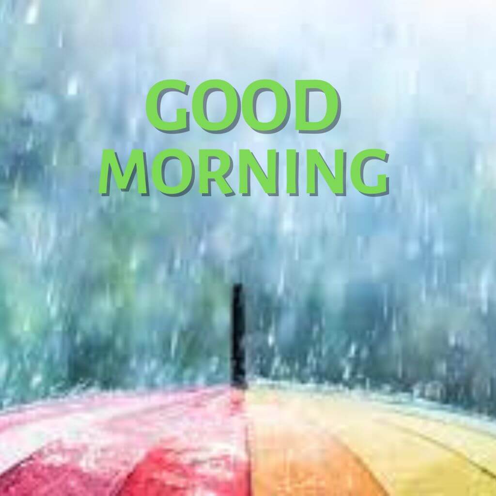 Beautiful rainy good morning Images HD Download