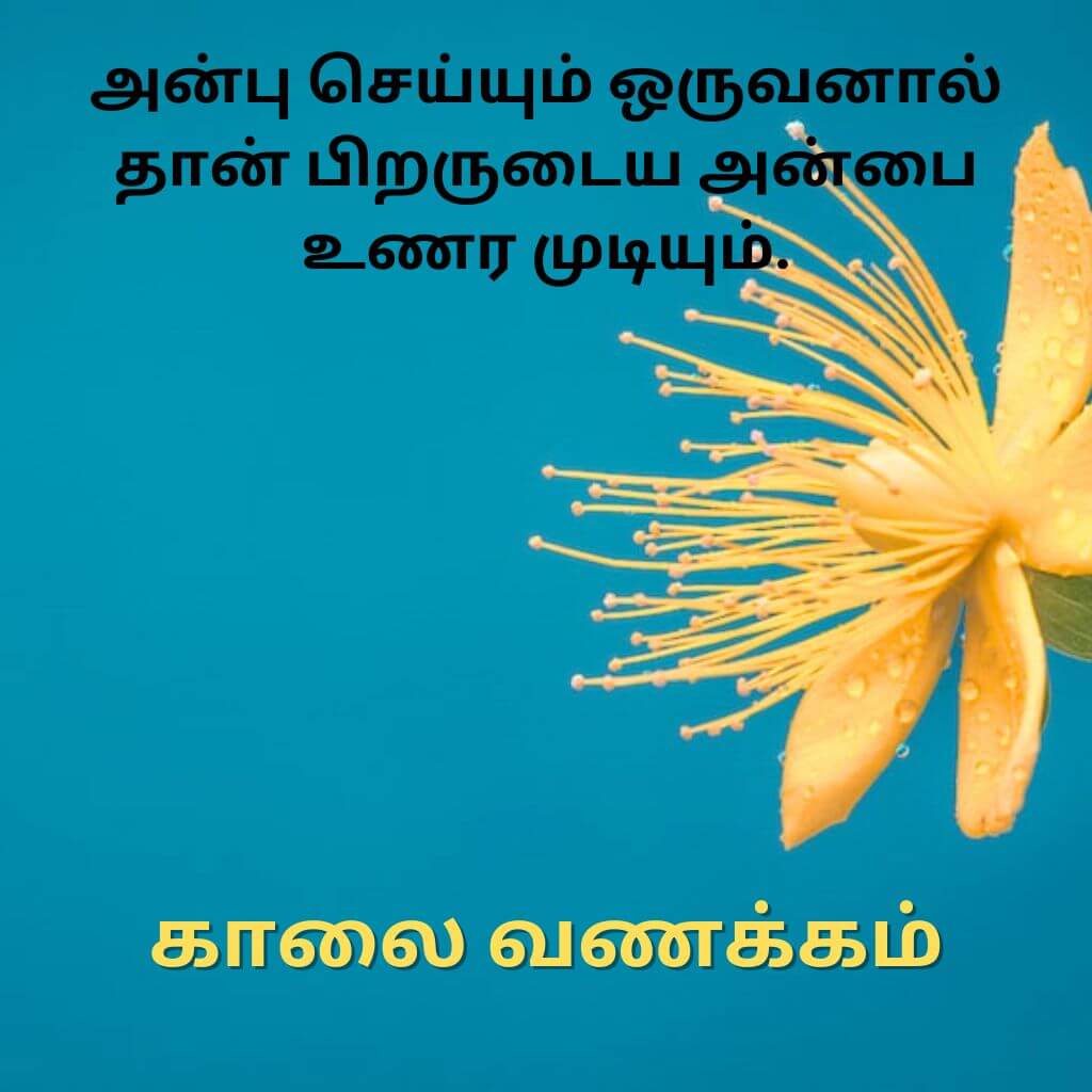 Best HD Tamil Good Morning Pics HD