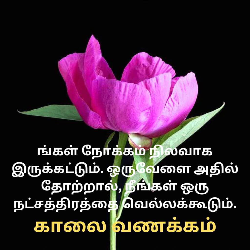 Best HD Tamil Good Morning Pics Wallpaper Free Download