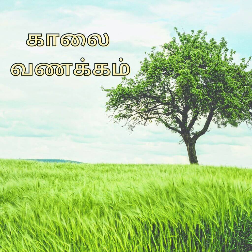 Best HD Tamil Good Morning Wallpaper pics Download